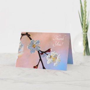 Classy White Japanese Apricot Flowers Thank You Card