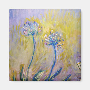Claude Monet - Agapanthus Magnet