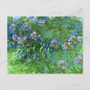 Claude Monet: Agapanthus Postcard