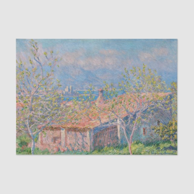 Claude Monet - Gardener's House at Antibes Tissue Paper (Front)