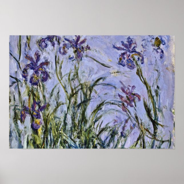 Claude Monet - Iris Mauves Poster (Front)