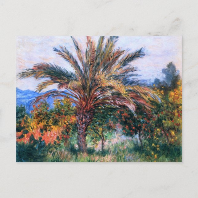 Claude Monet: Palm Tree at Bordighera Postcard (Front)