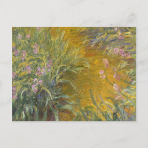 Claude Monet   The Path through the Irises Postcard