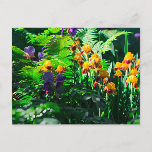 Claude Monet Type Stylised Garden Iris Postcard
