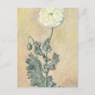 Claude Monet   White Poppy, 1883 Postcard