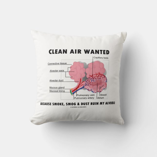 Clean Air Wanted Because Smoke Ruin Alveoli Humour Cushion (Front)