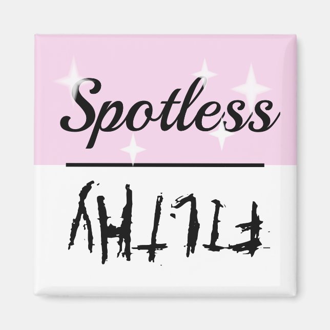 Clean Dirty Spotless Filthy Dishwasher Magnet (Front)