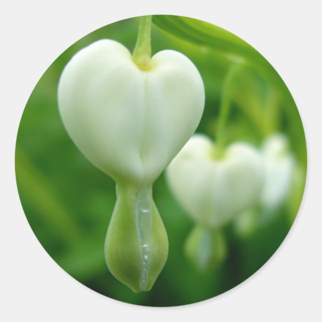 Clean Heart Sticker (Front)