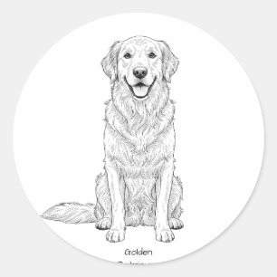 Clean Minimalist Golden Retriever Line Art  Classic Round Sticker