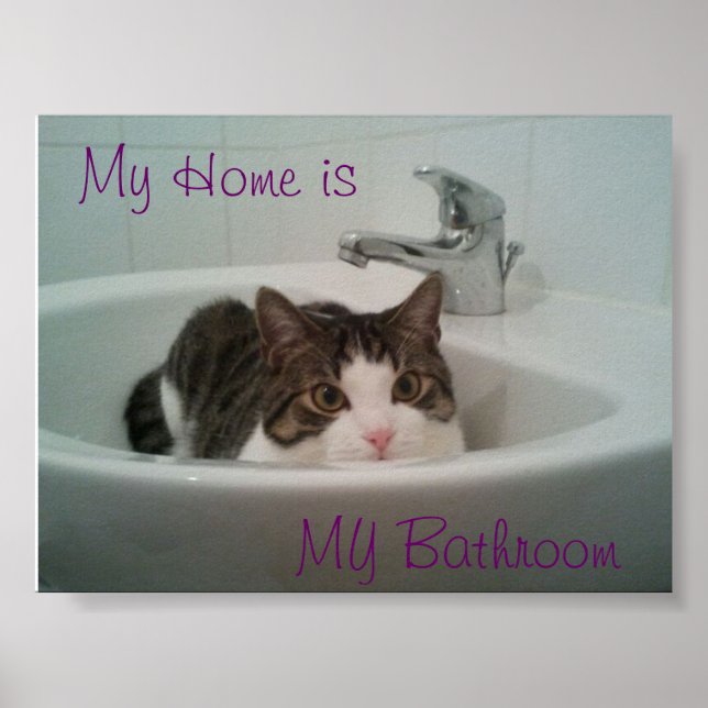 Clean Poster (Front)