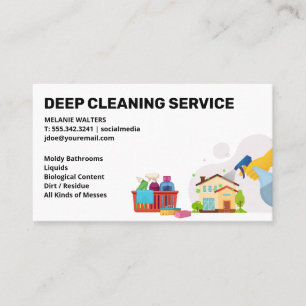 Cleaning Services Maid Spraying Clean Products Business Card