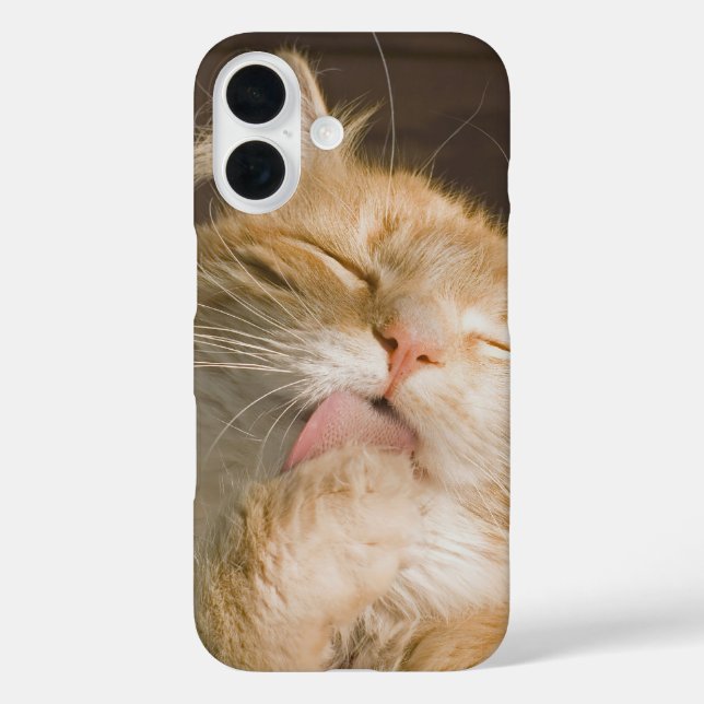 Cleaning Up | Maine Coon  Cat Close-Up Photograph Case-Mate iPhone Case (Back)