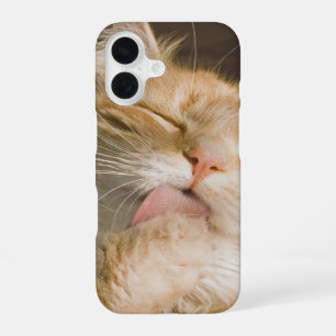 Cleaning Up Maine Coon Cat Close-Up Photograph iPhone 16 Case