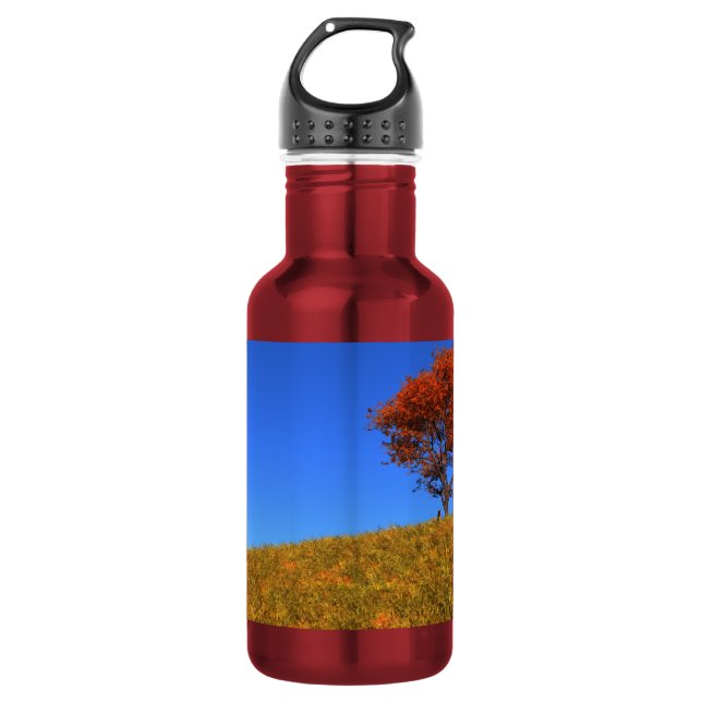 Clear Autumn Day 532 Ml Water Bottle (Front)