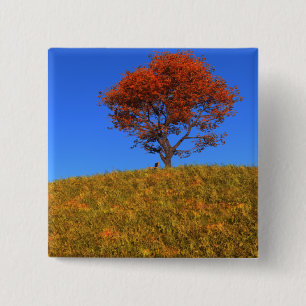Clear Autumn Day Button