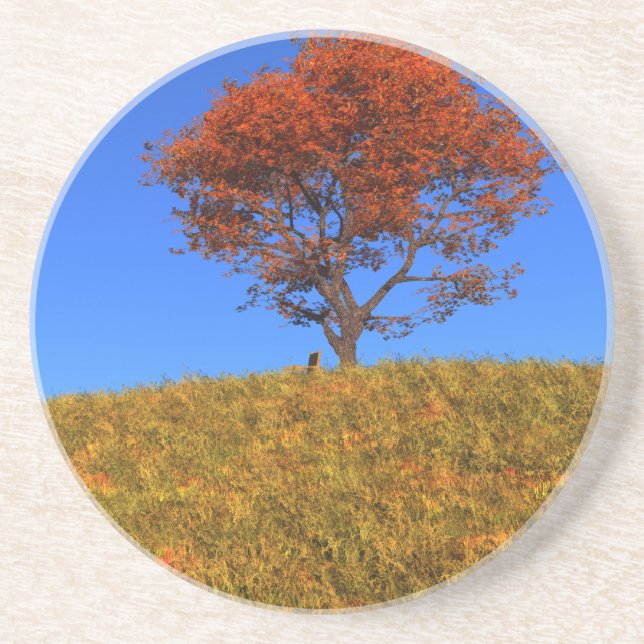 Clear Autumn Day Coaster (Front)