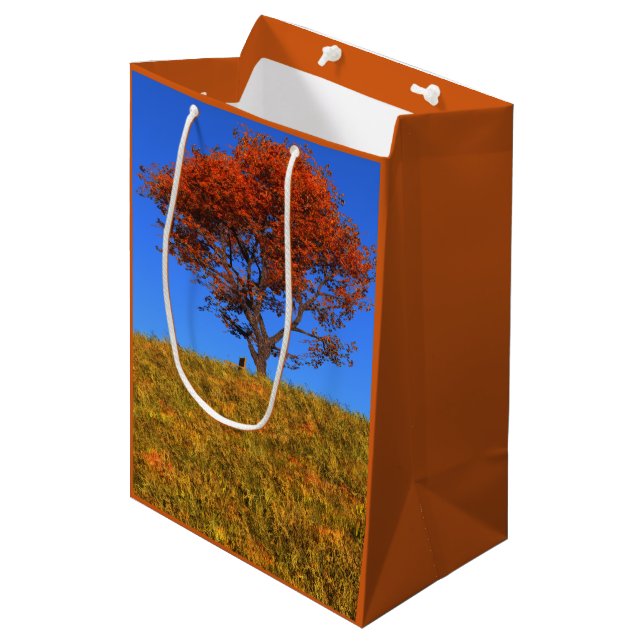 Clear Autumn Day Gift Bag (Front Angled)
