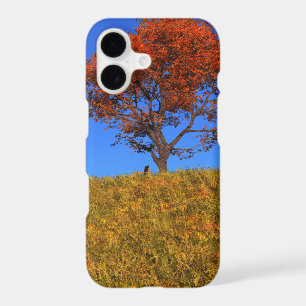 Clear Autumn Day iPhone Case-Mate