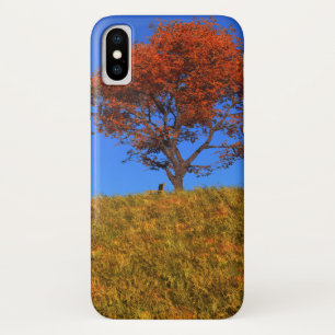 Clear Autumn Day iPhone Case-Mate Case