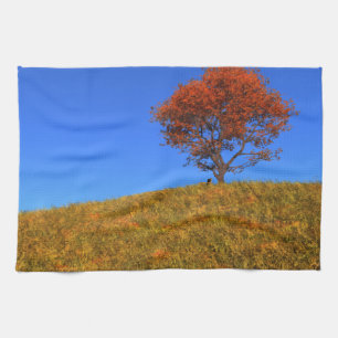 Clear Autumn Day Kitchen Towel