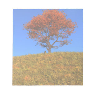Clear Autumn Day Notepad