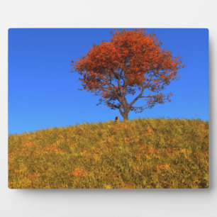 Clear Autumn Day Photo Plaque