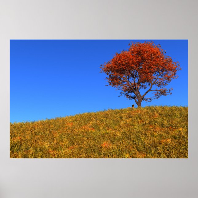 Clear Autumn Day Print (Front)