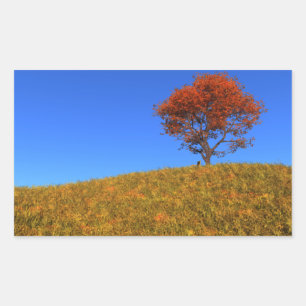 Clear Autumn Day Stickers