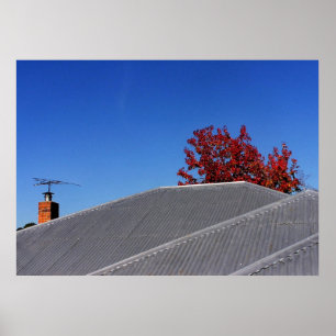 Clear Day Rooftop Print
