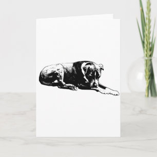 Clear Gaze Dog Card