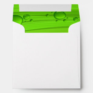 Clear Golden Liquid Honey Inside Beekeeper Envelopes