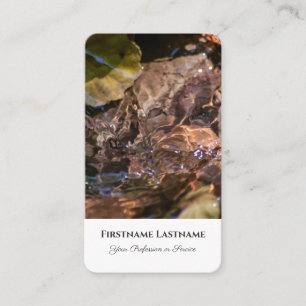 Clear idyllic flowing water life coaching experts business card