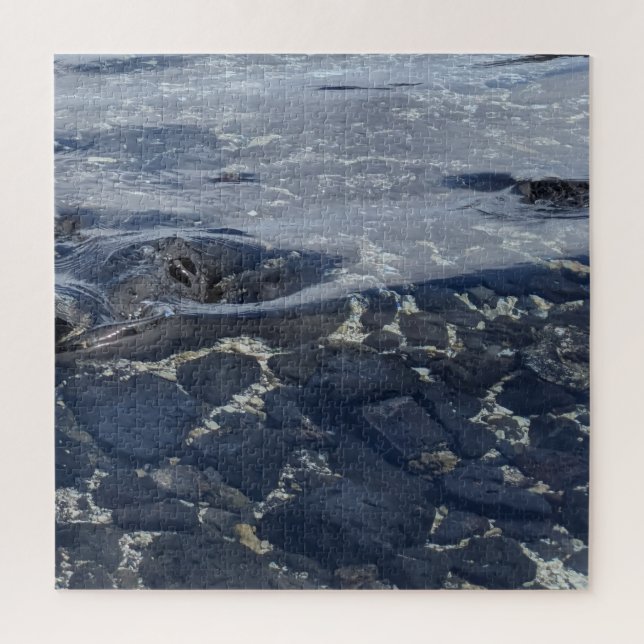 Clear Ocean Water of Hawaii Jigsaw Puzzle (Vertical)