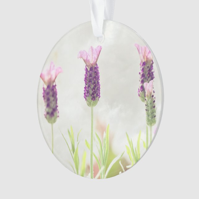 clear ornament template (Front)