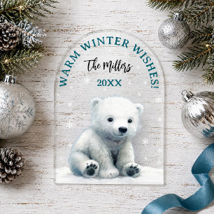 Clear Polar Bear Baby Christmas Card Acrylic Invitations