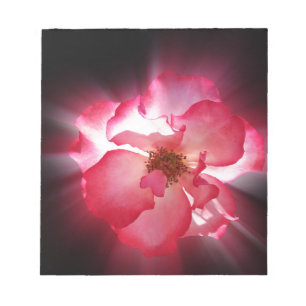 clear red petals notepad