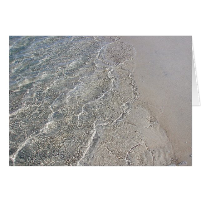 Clear waters (Front Horizontal)