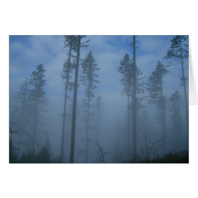 Clearing Fog (Front Horizontal)