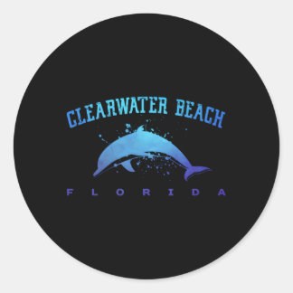 Clearwater Beach Florida Dolphin Scuba Diving Snor Classic Round Sticker