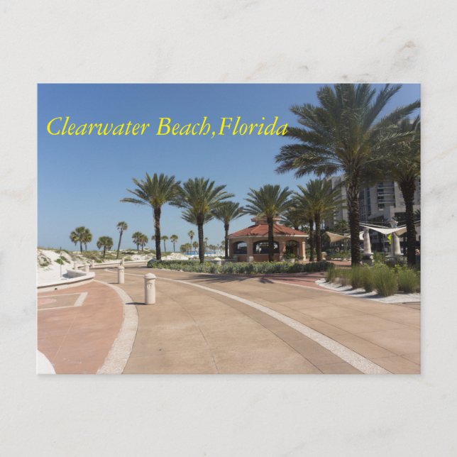 Clearwater Beach Florida Postcard (Front)