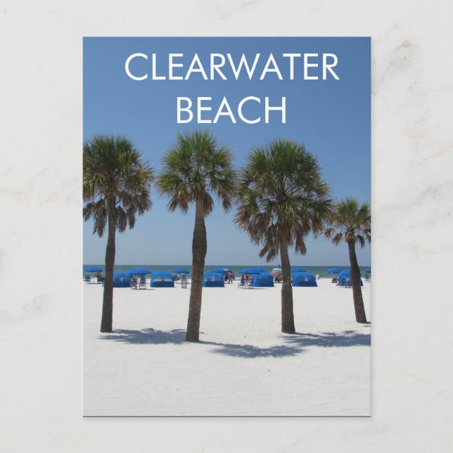 Clearwater Beach Florida Postcard (Front)