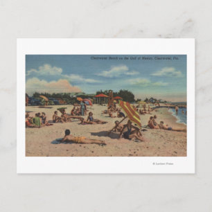 Clearwater, FL - Sunbathers on Clearwater Beach Postcard