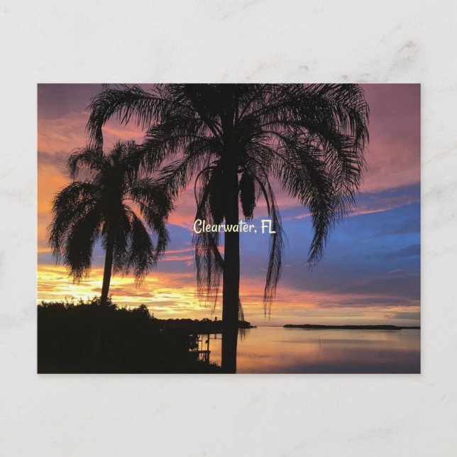 Clearwater, Florida landscape photo Postcard (Front)