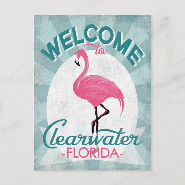 Clearwater Florida Pink Flamingo Retro Postcard (Front)