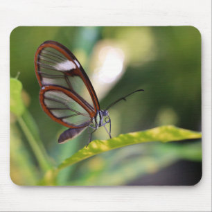 Clearwing Butterfly Mouse Pad
