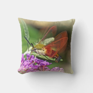 Clearwing Hawk Moth - Hemaris thysbe Cushion
