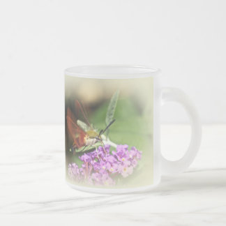 Clearwing Hawk Moth - Hemaris thysbe Frosted Glass Coffee Mug