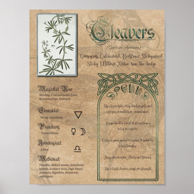 Cleavers Herbal Book of Shadows Pagan Wiccan Poster (Front)