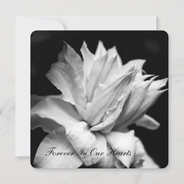 Clematis 1b Funeral Memorial Announcement (Front)