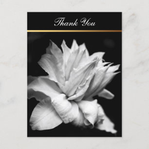 Clematis 1b Memorial Sympathy Thank You Postcard